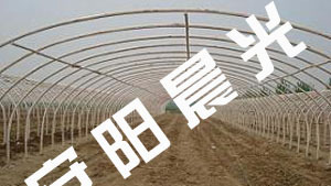 日光溫室大棚骨架與食用菌大棚骨架——現代農業的關鍵支撐